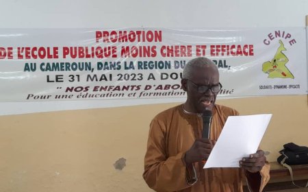 Victor Kalla : « Avec la consultation parentale, les parents vont décider du montant de l'APEE à prélever dans chaque arrondissement », selon le président du Cenipe