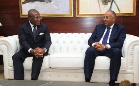AFRICA CEO FORUM : Joseph Dion Ngute reçu en audience par son homologue ivoirien Patrick Achi