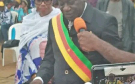 Cameroun / Ascension politique : Manga Zang élu sénateur, le pari de la discipline et de l'intégration nationale