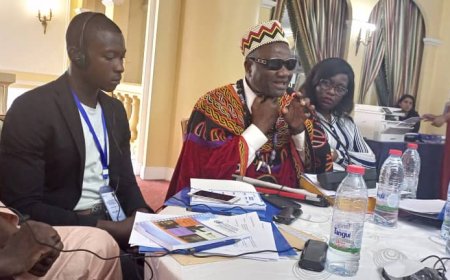 Atelier de formation pour les professionnels du droit et la sécurité nationale sur la convention des nations unies relative aux droits des personnes handicapées