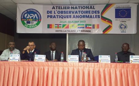 Atelier de présentation des résultats de l'observatoire des pratiques anormales sur les principaux corridors de l'Afrique centrale