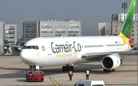 Transport aérien : l'espace aérien entre le Cameroun et l'Algérie ouvert