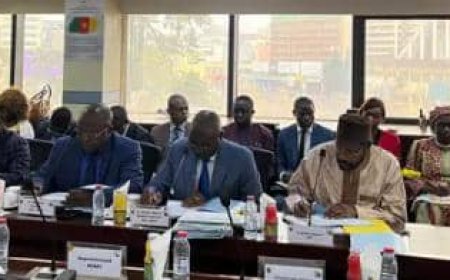 Cameroun - Projets routiers 2023: le MINTP œuvre pour l'achèvement des travaux
