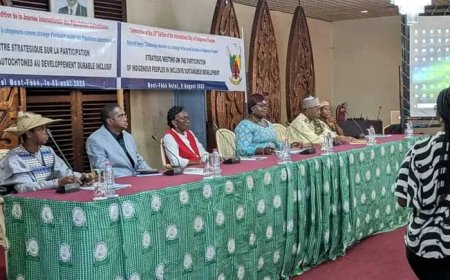 Populations autochtones au Cameroun : l'éducation au centre des préoccupations