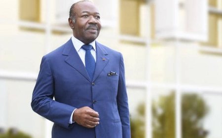 Ali Bongo aurait il monopolisé la campagne électorale ?