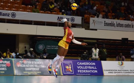 Championnat d'Afrique des nations de volley-ball : À l'issue de la 2e journée de la compétition le Cameroun confirme sa place dans le championnat