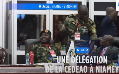 CEDEAO, efforts diplomatiques pour renverser le coup d'État au Niger - Rencontre avec le président destitué du pouvoir