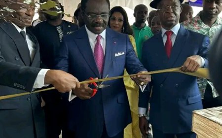 Volley-ball au Cameroun : un nouveau siège flambant neuf pour la Fécavolley