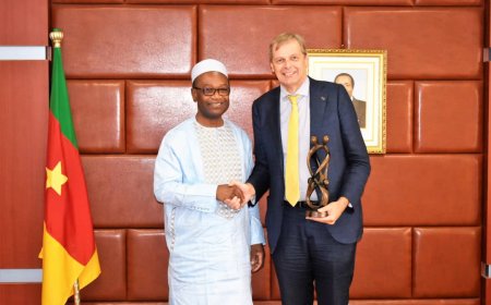 Coopération Cameroun-UE : les aurevoir de Philippe Van Damme au minpmeesa
