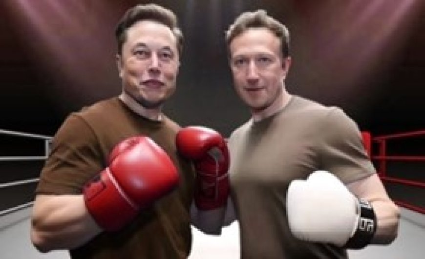 Coup de théâtre ! Zuckerberg abandonne le combat avec Elon Musk : « Il n'est pas sérieux. Il est temps de passer à autre chose »
