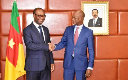 Cameroun : SIAKA COULIBALY reçu en audience par le minpmeesa