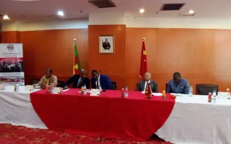 Yaoundé, Cameroun : leçons sur l’initiative « la Ceinture et la Route »