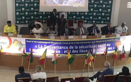 Afrique / Sécurité et santé au travail : experts et scientifiques en conclave à Douala