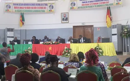 Cameroun: le conseil régional du Littoral oriente son budget 2024