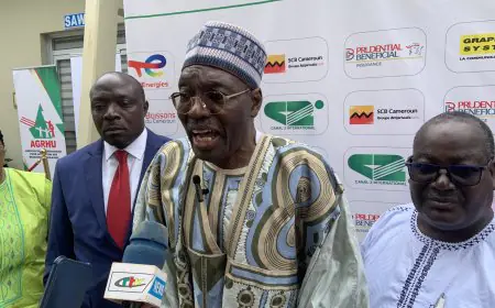 Aux travailleurs étrangers au Cameroun, le minefop siffle la fin de la récréation