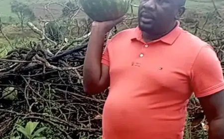 Agrobusiness :   Au Cameroun, l’homme d’affaires Ismaël Njoya à la conquête de l’agriculture