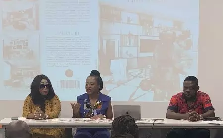 Littérature / Architecture d’intérieur : comment aménager et décorer sa maison en style camerounais