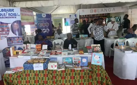 Cameroun / Salido 2023 : le livre vu autrement