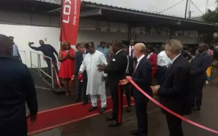 Cameroun / Grande distribution : CFAO se donne à voir à Douala