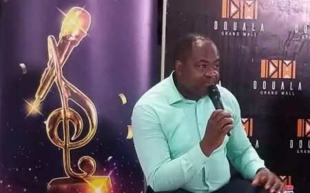 7even Awards, La Nuit du rire et BMA : plus élevés que les précédentes éditions