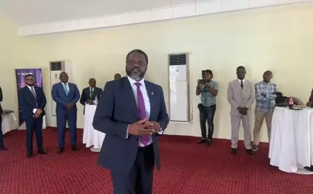 Cameroun / Secteur bancaire : appréhender la vision d’Access Bank