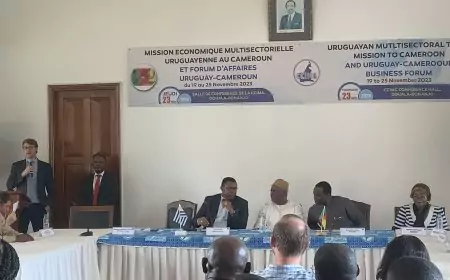 Investissement / Au Cameroun, l’Uruguay en mission économique
