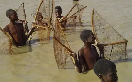 Bilharziose au Cameroun : le Littoral protège ses enfants