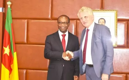 Coopération : ciel bleu entre le minpmeesa et l’Union Européenne au Cameroun