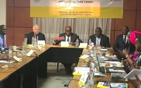 Compétitivité en zone Cemac : le climat des affaires comme pierre angulaire des investissements