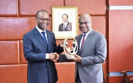 Cameroun / MINPMEESA : Audience accordée à Christian Yoka, Directeur Afrique de l'agence française de développement