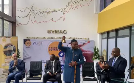 Marché financier : l’opérateur bancaire Alios Finance Cameroun lève son troisième emprunt