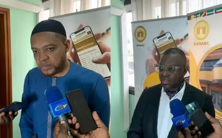 Alios finance Cameroun : un acteur majeur et régulier du marché financier de l’Afrique centrale