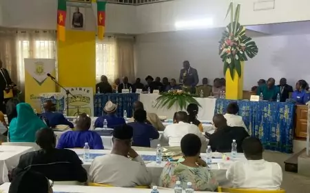 Performance budgétaire 2023 : Douala 3ème se hisse en “première catégorie”