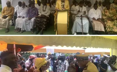 Administration territoriale : Au Cameroun, le canton Bell accueille avec brio le préfet du Wouri