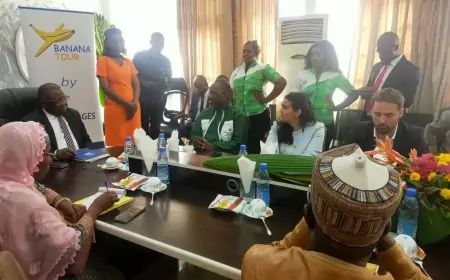 Cameroun - Agribusiness: Banana tour dans la cité capitale politique