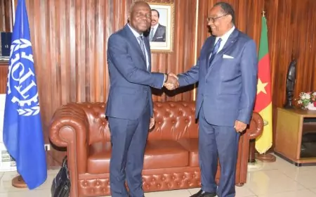 Coopération bilatérale Cameroun - BIT : Le travail décent au cœur des préoccupations