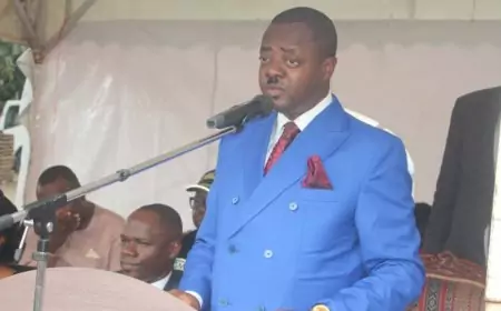 Cameroun / Décoration : Simplice Hervé Kengne dépasse les bornes