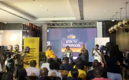 Partenariat : MTN et Canal + Cameroun révolutionnent le streaming