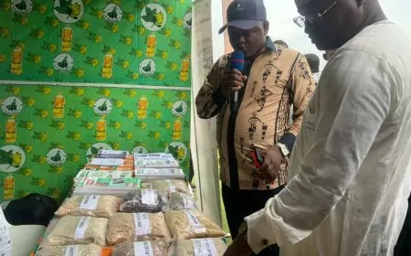 Sanagri 2024 : la marche vers une agriculture de seconde génération à Douala