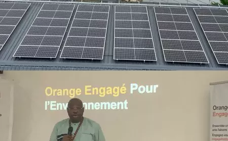 Protection de l’environnement : Orange Cameroun s’engage