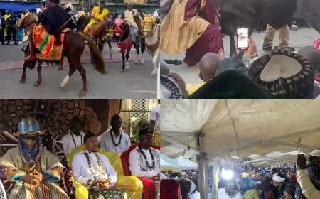 Cameroun / Festi Tabaski 2024 : Douala, les “nouvelles terres”  de la communauté Haoussa