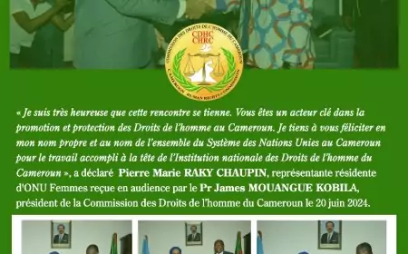 Cameroun / Audience à la CDHC : Pierre Marie RAKY CHAUPIN d’ONU Femmes félicite le Pr James MOUANGUE KOBILA
