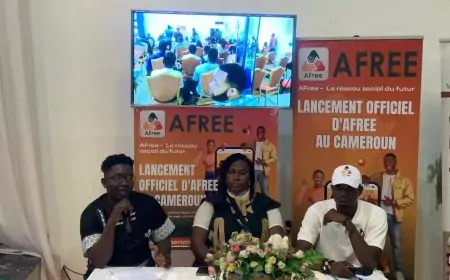 Technologie : AFree, la voie vers un réseau social 100% made in Africa