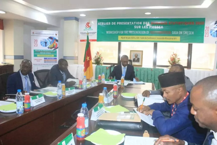 Données statistiques 2023 des pmeesa : le Cameroun enregistre une augmentation de l'ordre de 19 600 nouvelles PME créées