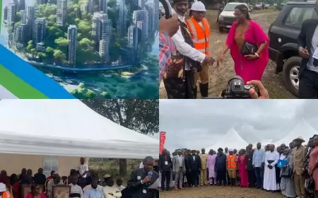 Investissement au Cameroun / Ndollè city : le projet partagé par les populations