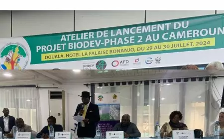 Au Cameroun, le projet Biodev2030 veut résoudre les pressions sur la biodiversité