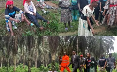 Cameroun : À Apouh a Ngog, un travail inédit pour la lutte de ses terres à la Socapalm