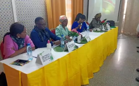 Conservation bio du poisson: Au Cameroun, la technique “Si mbeng” trouve avis favorable