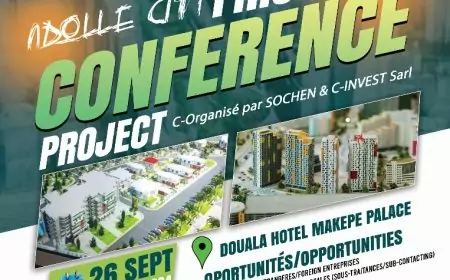 Cameroun / Projet Ndollè city : nouvelle percée de Word Dream Investment
