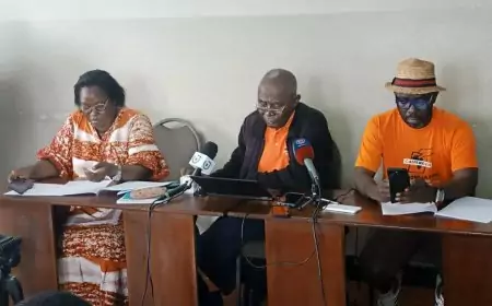 Échéances électorales 2025 au Cameroun : la question de l'alternance politique reste un véritable dilemme !